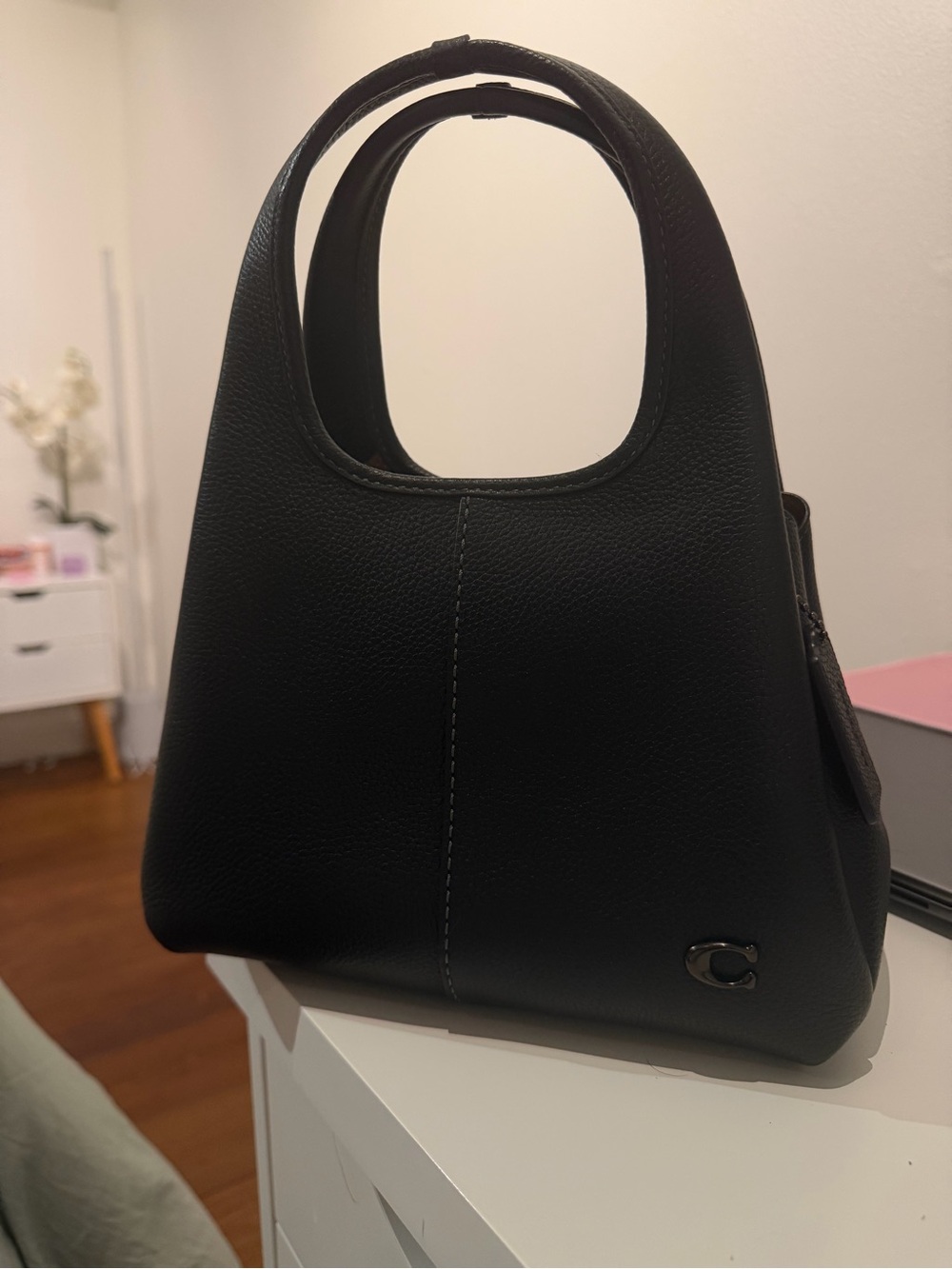 Coach Lana Shoulder Bag 23